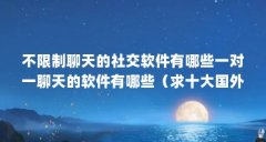 不限制聊天的社交软件有哪些一对一聊天的软件有哪些(求十大国外交友网站网