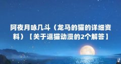 阿夜月咏几斗(龙马的猫的详细资料)【关于逗猫动漫的2个解答】