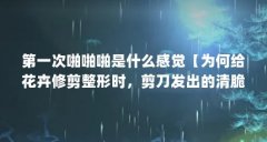 第一次啪啪啪是什么感觉【为何给花卉修剪整形时，剪刀发出的清脆“啪啪”声