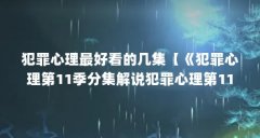 犯罪心理最好看的几集【《犯罪心理第11季分集解说犯罪心理第11季分集解说】