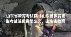 山东省教育考试院【山东省教育招生考试院缴费怎么交，山东省教育招生考试院