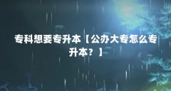专科想要专升本【公办大专怎么专升本?】