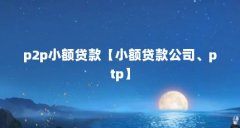 p2p小额贷款【小额贷款公司、ptp】