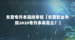 东营专升本现场审核【东营职业学院2020专升本率高么？】