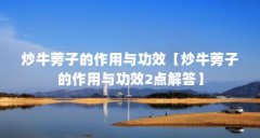 炒牛蒡子的作用与功效【炒牛蒡子的作用与功效2点解答】