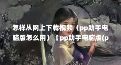 怎样从网上下载视频（pp助手电脑版怎