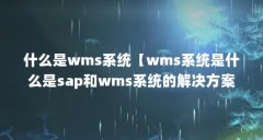 什么是wms系统【wms系统是什么是sap和wms系统的解决方案】