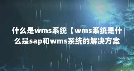 什么是wms系统【wms系统是什么是sap和wms系统的解决方案】