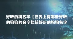 好听的狗名字【世界上有哪些好听的狗狗的名字比较好听的狗狗名字】