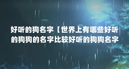 好听的狗名字【世界上有哪些好听的狗狗的名字比较好听的狗狗名字】