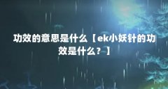 功效的意思是什么【ek小妖针的功效是什么?】