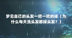 梦见自己的头发一把一把的掉【为什么每天洗头发都掉头发?】