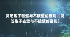 灵芝孢子破壁与不破壁的区别【灵芝孢子去壁与不破壁的区别】