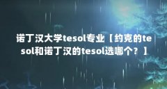 诺丁汉大学tesol专业【约克的tesol和诺丁汉的tesol选哪个？】
