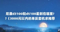 尼康d3100和d5100差别在哪里??(3000元以内的单反套机求推荐,必须是套机,3000全下