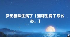 梦见猫咪生病了【猫咪生病了怎么办，】