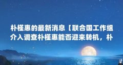 朴槿惠的最新消息【联合国工作组介入调查朴槿惠能否迎来转机，朴槿惠能否迎