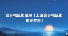 会计电算化课程【上海会计电算化专业学习】