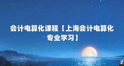 会计电算化课程【上海会计电算化专业学习】