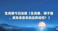 生肖猪今日运程【生肖猪、狮子座、虎年本命年的运势如何?】