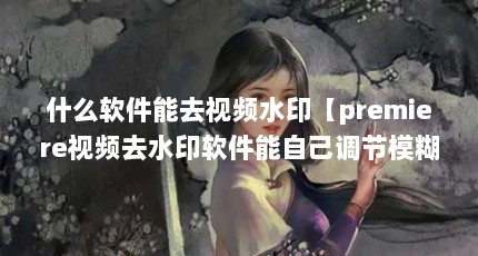 什么软件能去视频水印【premiere视频去水印软件能自己调节模糊度数值】