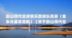 蔚山现代足球俱乐部球队阵容(金永光基本资料)【关于蔚山现代足球俱乐部的