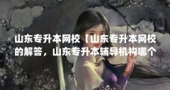 山东专升本网校【山东专升本网校的解答，山东专升本辅导机构哪个好】