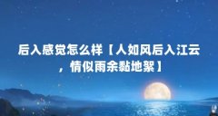 后入感觉怎么样【人如风后入江云，情似雨余黏地絮】