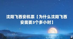 沈阳飞西安机票【为什么沈阳飞西安需要3个多小时】