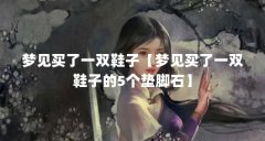 梦见买了一双鞋子【梦见买了一双鞋子的5个垫脚石】