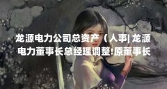 龙源电力公司总资产(人事| 龙源电力董事长总经理调整!原董事长已任国电电力