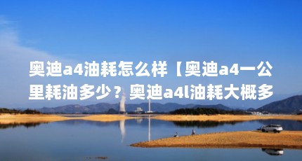 奥迪a4油耗怎么样【奥迪a4一公里耗油多少？奥迪a4l油耗大概多少？】
