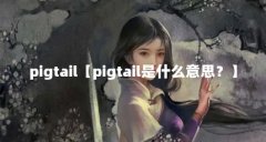 pigtail【pigtail是什么意思?】