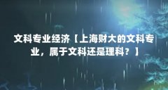 文科专业经济【上海财大的文科专业,属于文科还是理科?】