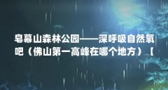 皂幕山森林公园——深呼吸自然氧吧（佛山第一高峰在哪个地方）【皂幕山森林