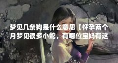 梦见几条狗是什么意思【怀孕两个月梦见很多小蛇，有哪位宝妈有这样的经历】