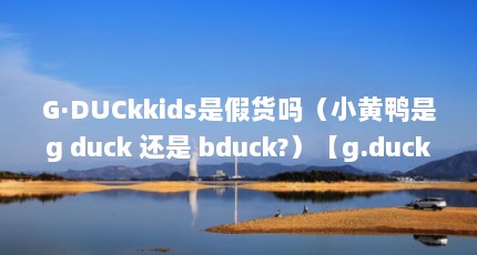 G·DUCkkids是假货吗（小黄鸭是g duck 还是 bduck?）【g.duckkids是假货吗小黄鸭是gduck还是bduck？】