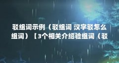 驳组词示例（驳组词 汉字驳怎么组词）【3个相关介绍验组词（驳组词）的解答