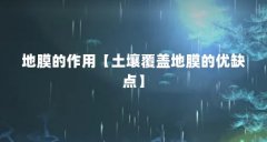 地膜的作用【土壤覆盖地膜的优缺点】