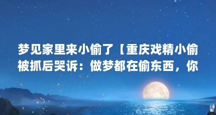 梦见家里来小偷了【重庆戏精小偷被抓后哭诉：做梦都在偷东西，你怎么看】
