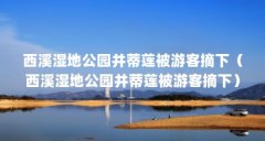 西溪湿地公园并蒂莲被游客摘下（西溪湿地公园并蒂莲被游客摘下）【杭州西溪