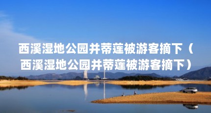 西溪湿地公园并蒂莲被游客摘下（西溪湿地公园并蒂莲被游客摘下）【杭州西溪湿地并蒂莲开花一天就被折的是怎样证明是被人折的】